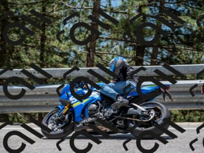 202506011301-DSC_5328_c4_