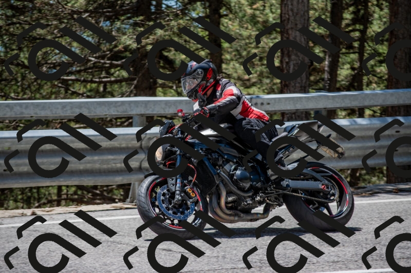 202506011301-DSC_5331_c4_