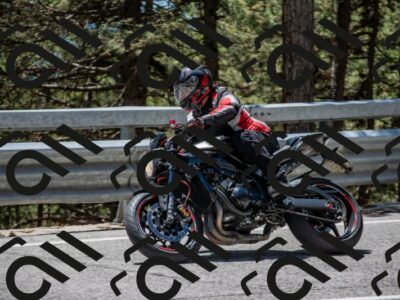 202506011301-DSC_5331_c4_