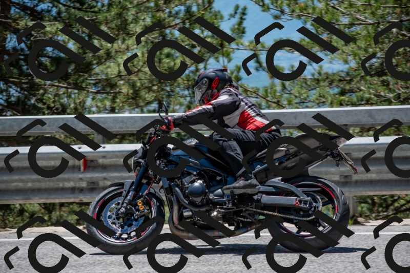 202506011301-DSC_5332_c4_