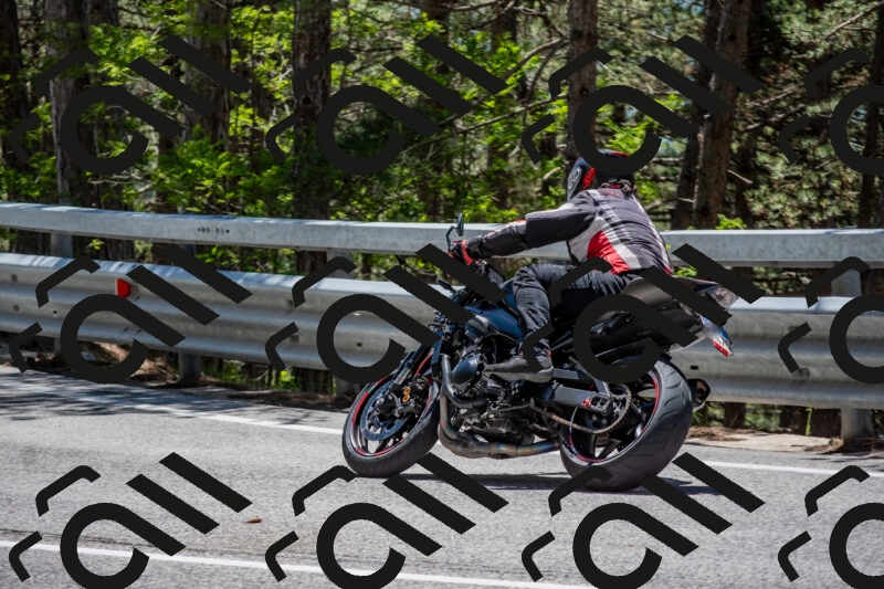 202506011301-DSC_5333_c4_