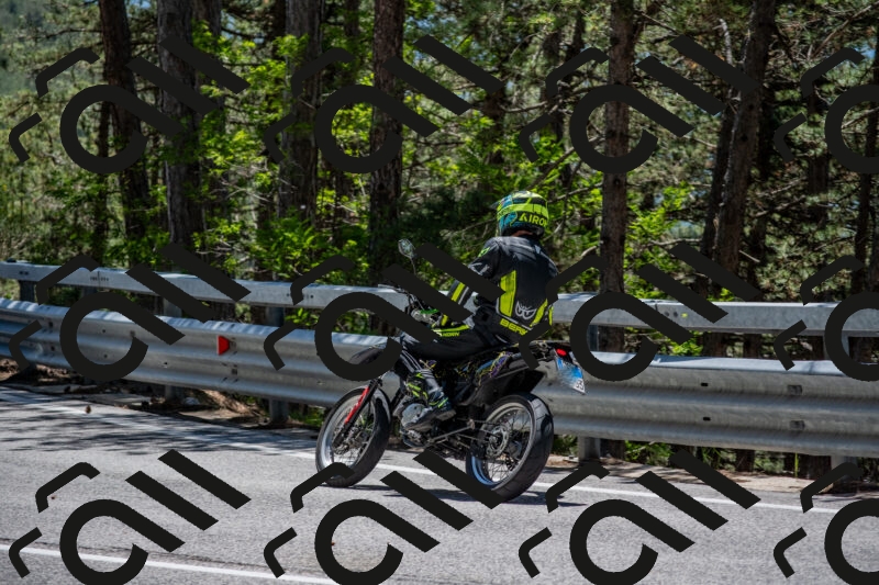 202506011301-DSC_5339_c4_