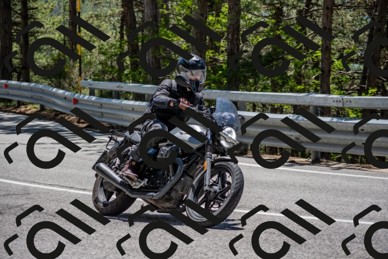 202506011301-DSC_5341_c4_