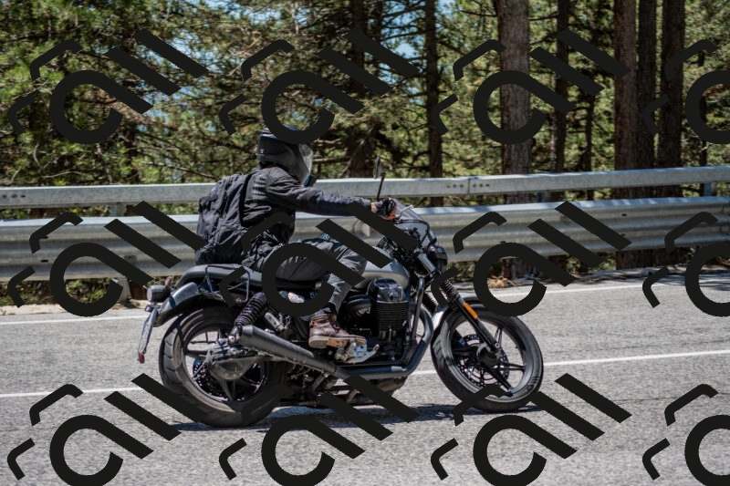 202506011301-DSC_5343_c4_