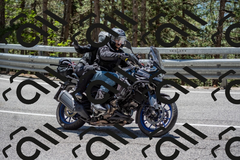 202506011302-DSC_5362_c4_