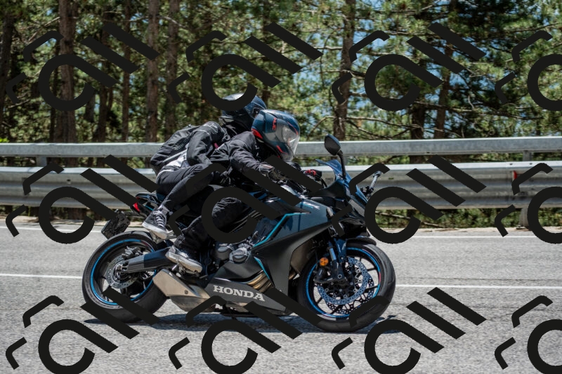 202506011304-DSC_5371_c4_