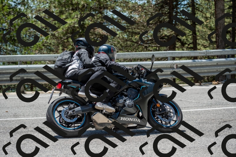 202506011304-DSC_5372_c4_