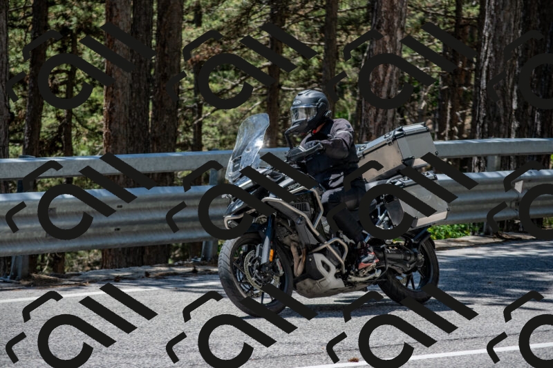 202506011305-DSC_5375_c4_