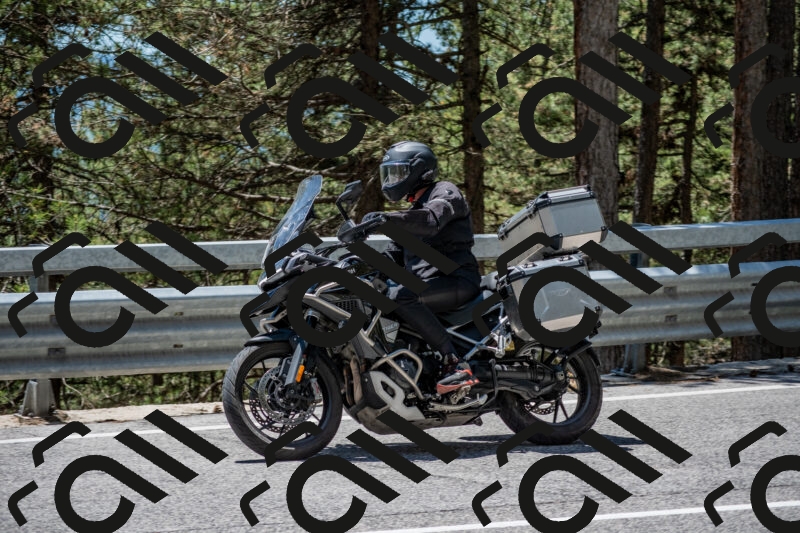 202506011305-DSC_5376_c4_