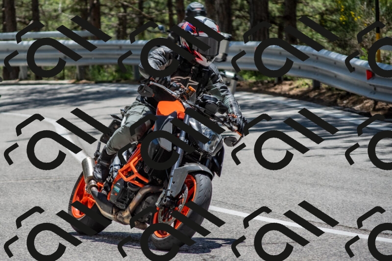 202506011305-DSC_5378_c4_