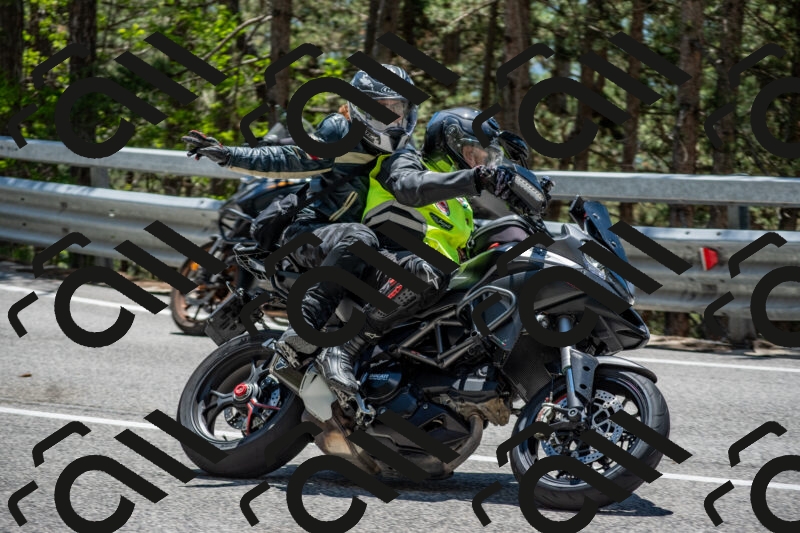 202506011305-DSC_5381_c4_