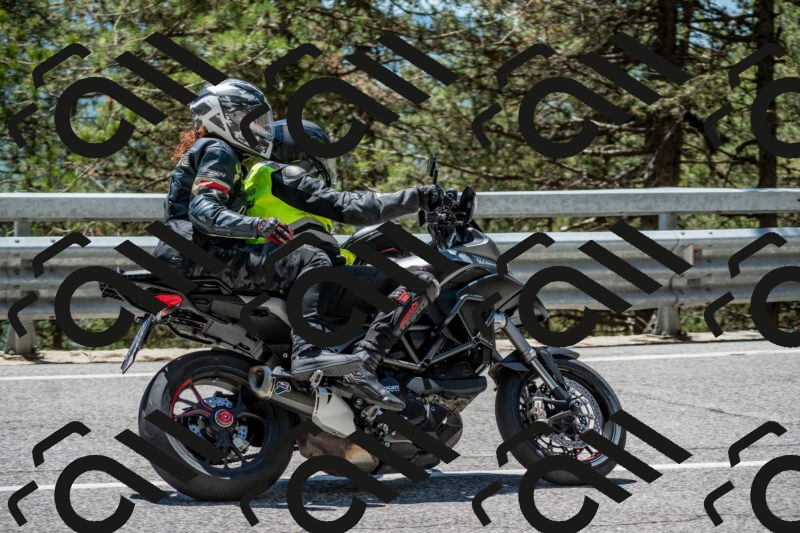 202506011305-DSC_5383_c4_