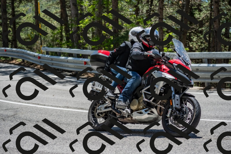 202506011305-DSC_5386_c4_