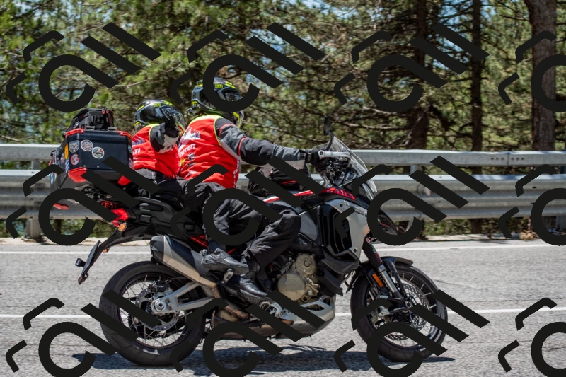 202506011305-DSC_5388_c4_