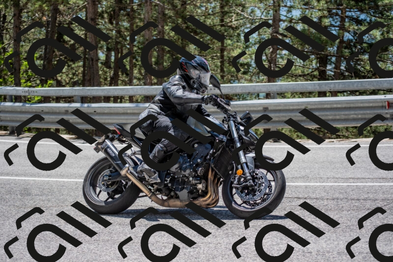 202506011305-DSC_5395_c4_