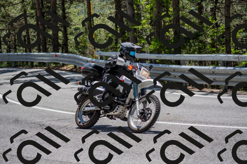 202506011305-DSC_5396_c4_