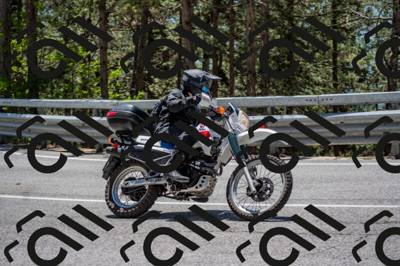 202506011305-DSC_5397_c4_