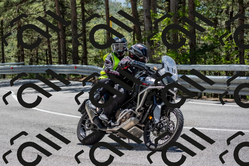 202506011305-DSC_5403_c4_