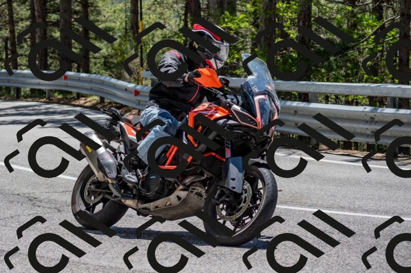 202506011306-DSC_5432_c4_