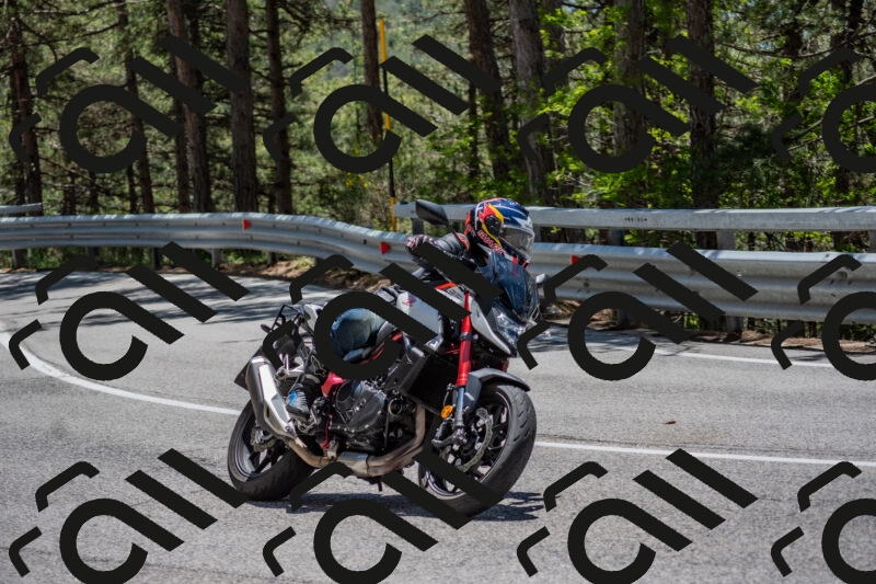 202506011306-DSC_5434_c4_