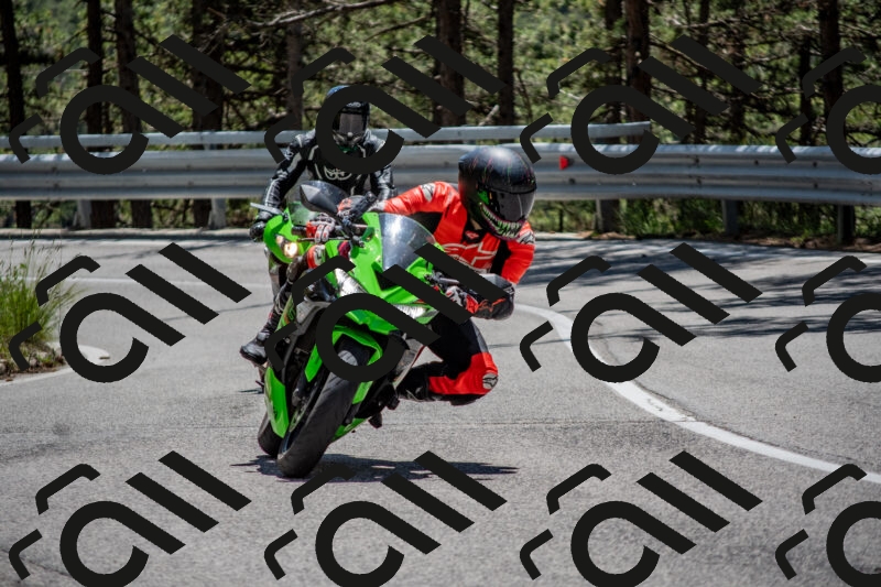 202506011306-DSC_5443_c4_