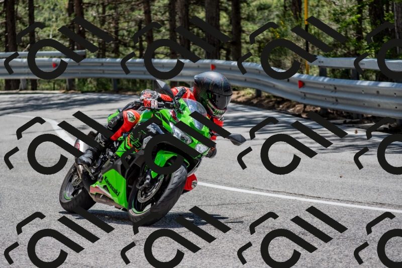 202506011306-DSC_5444_c4_