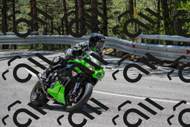 202506011306-DSC_5446_c4_