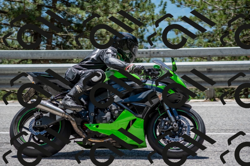 202506011306-DSC_5448_c4_