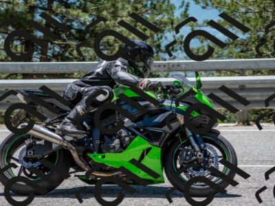 202506011306-DSC_5448_c4_