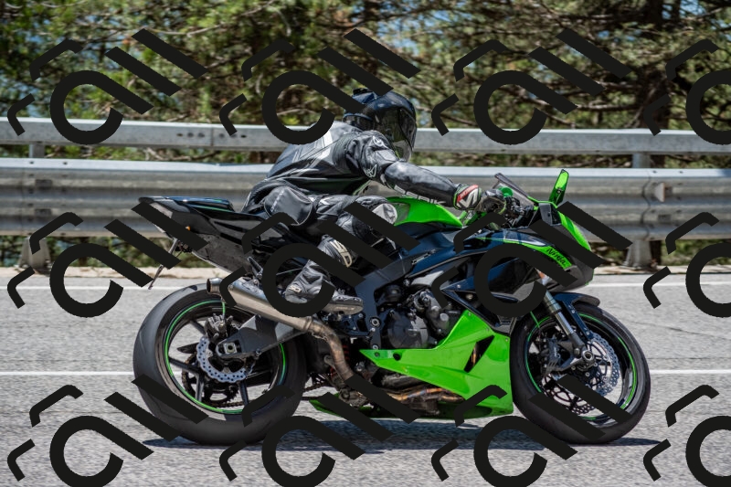 202506011306-DSC_5449_c4_