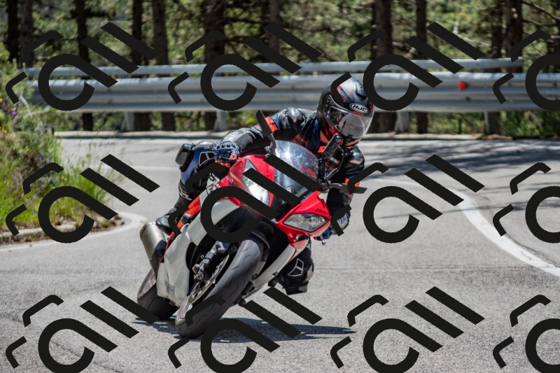 202506011306-DSC_5451_c4_