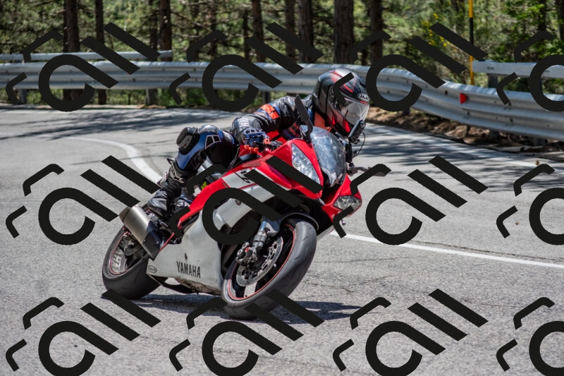 202506011306-DSC_5452_c4_