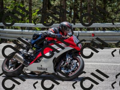 202506011306-DSC_5453_c4_