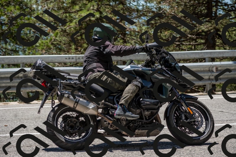 202506011307-DSC_5479_c4_