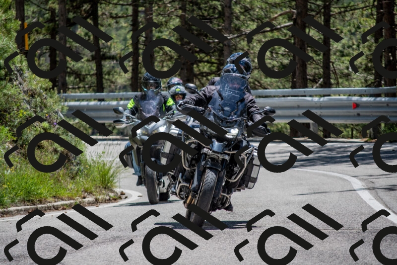 202506011307-DSC_5481_c4_