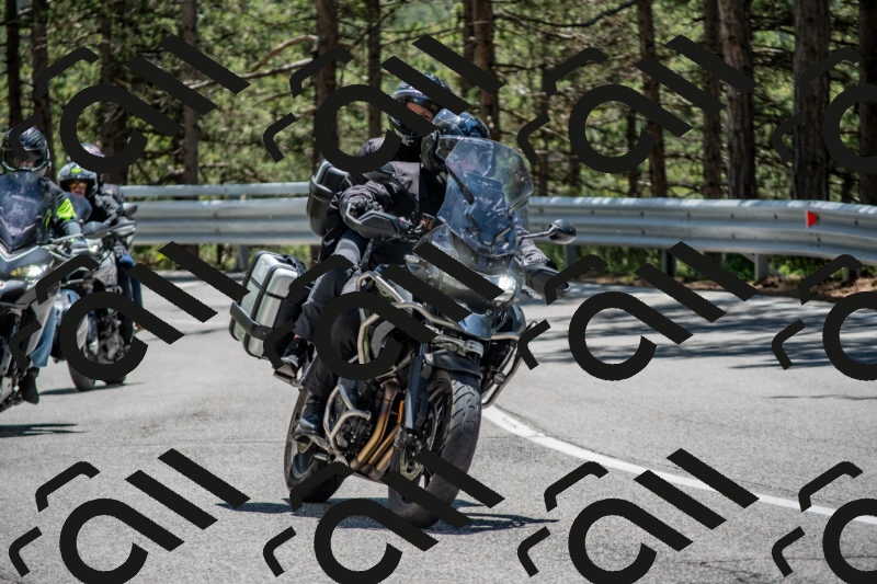 202506011307-DSC_5482_c4_