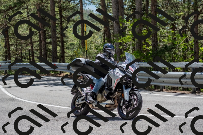 202506011307-DSC_5491_c4_