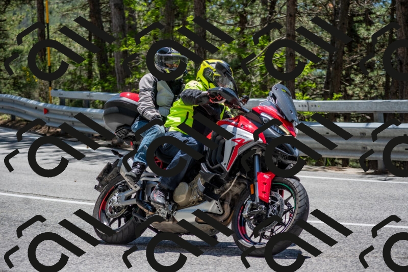 202506011307-DSC_5504_c4_