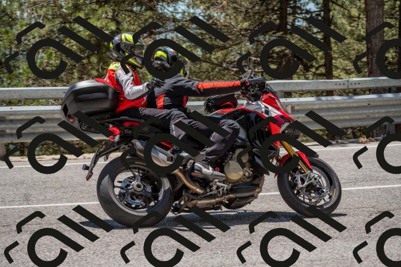 202506011307-DSC_5516_c4_