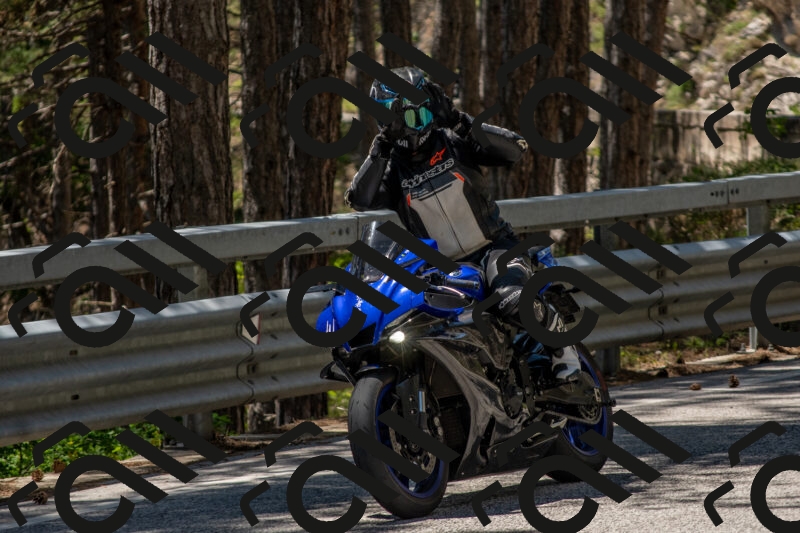 202506011308-DSC_5517_c4_