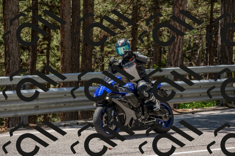 202506011308-DSC_5518_c4_