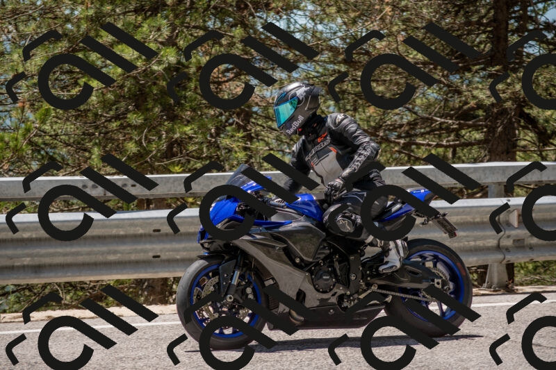 202506011308-DSC_5519_c4_