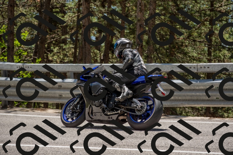 202506011308-DSC_5521_c4_