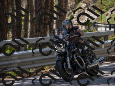 202506011308-DSC_5522_c4_