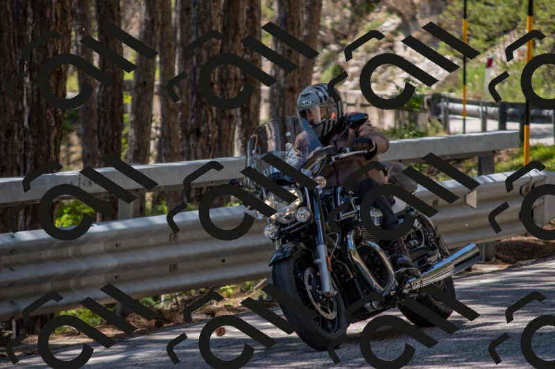 202506011308-DSC_5522_c4_