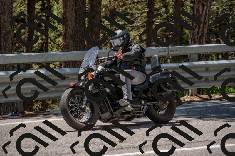 202506011308-DSC_5526_c4_