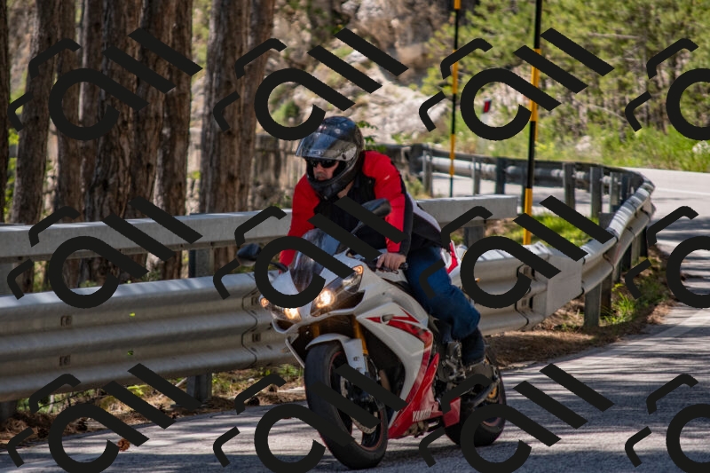 202506011308-DSC_5529_c4_