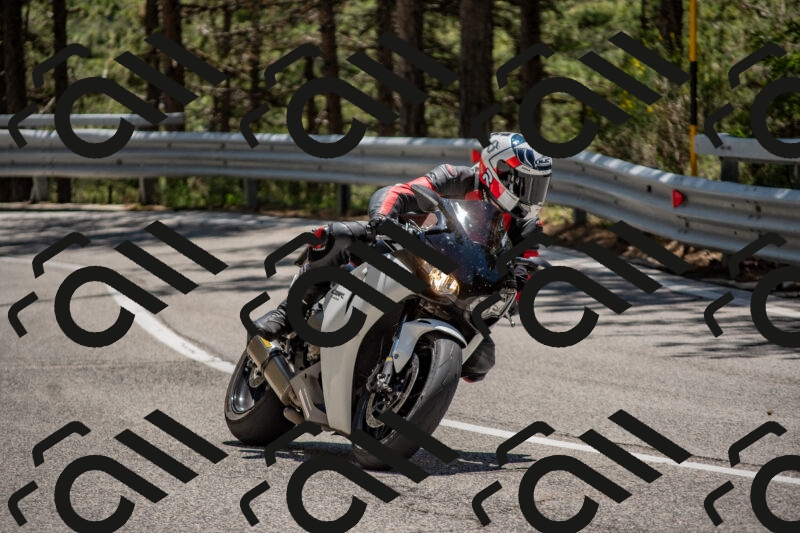 202506011308-DSC_5533_c4_