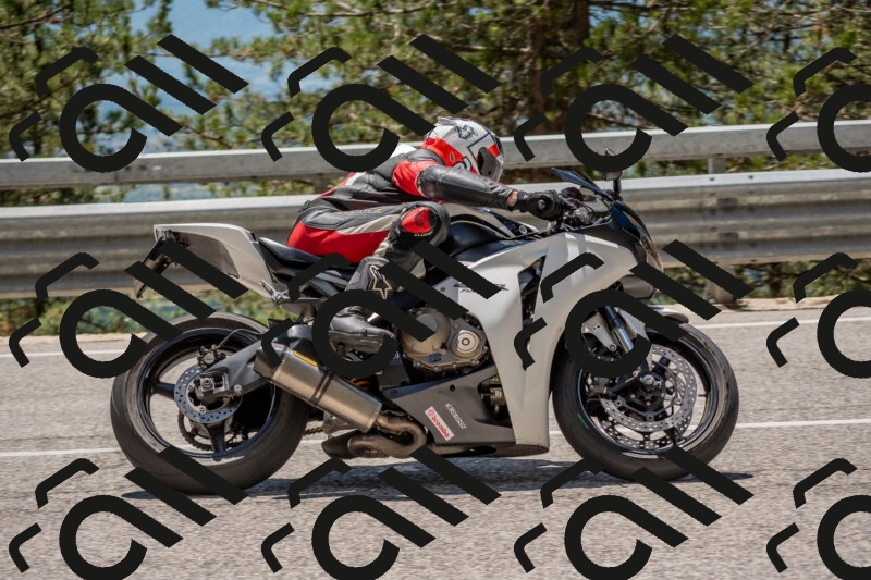 202506011308-DSC_5535_c4_