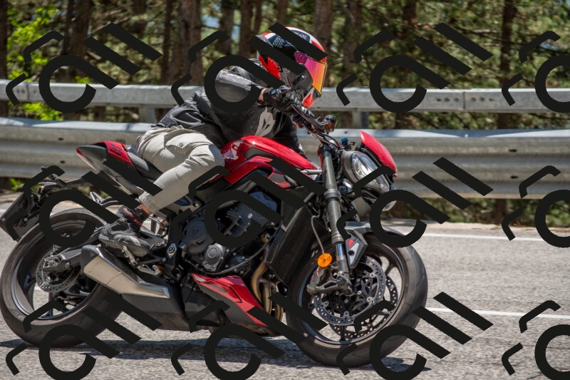 202506011308-DSC_5537_c4_